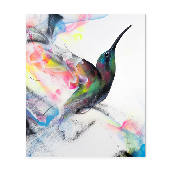 L7Matrix "Murus" limited edition fine art print featuring a colorful hummingbird in fluid abstract aerosol motion available at Because Art Matters