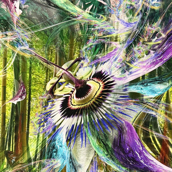 "Time Keeper"